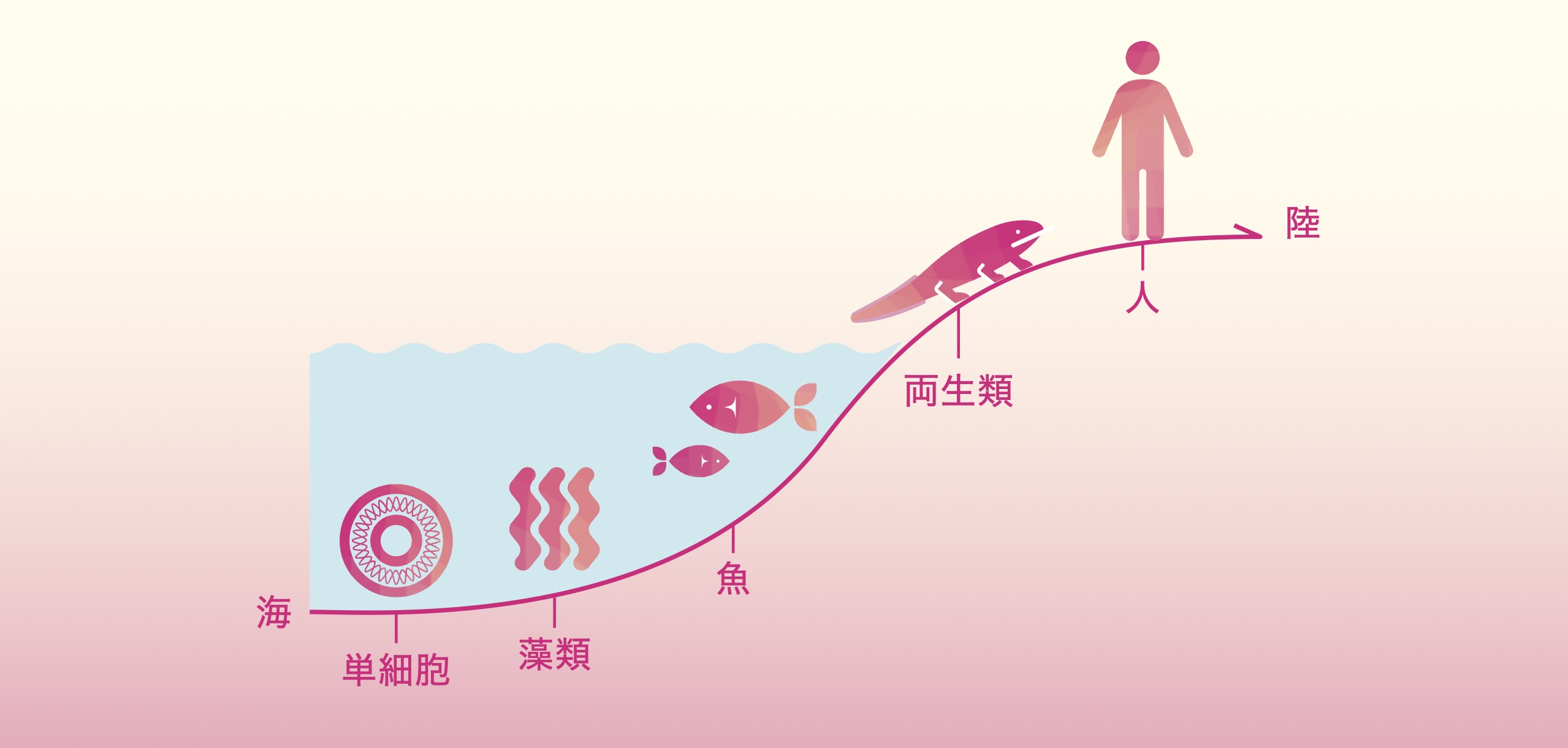 単細胞から藻類・魚・両生類・人まで細胞膜が共通していることを示す進化の図解