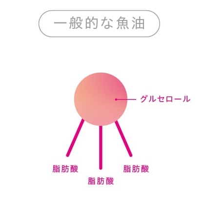一般的な魚油の構造図解